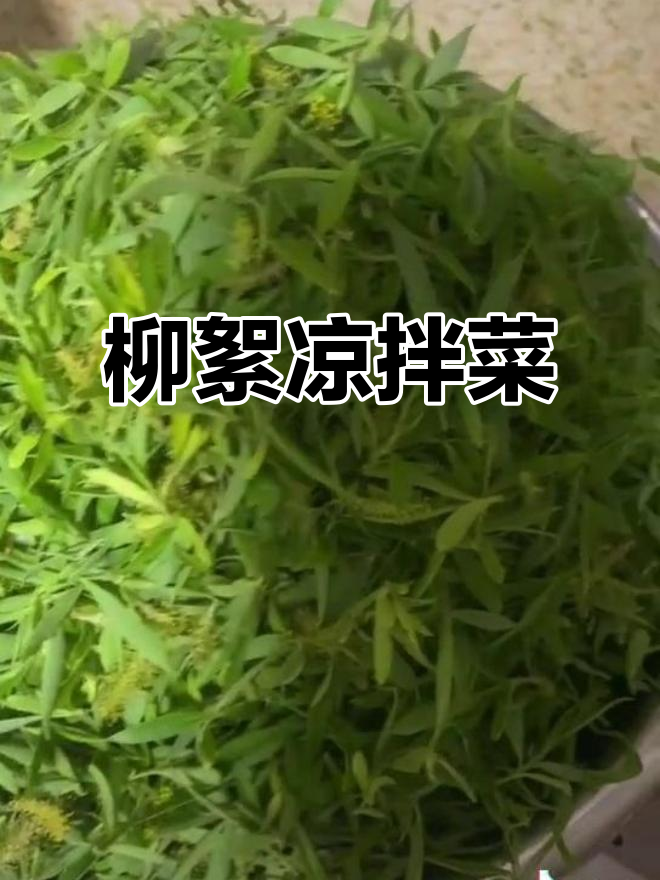 凉拌柳絮怎么做好吃
